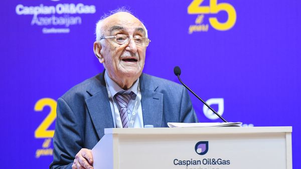 Хошбахт Юсифзаде – Первый вице-президент SOCAR - Sputnik Азербайджан