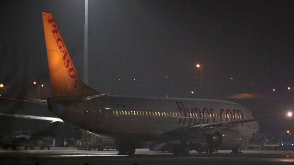 Самолет авиакомпании Pegasus Airlines - Sputnik Азербайджан