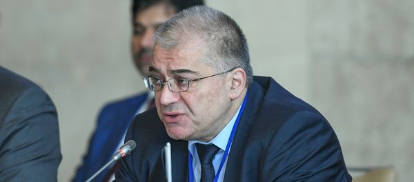 Заместитель министра иностранных дел Араз Азимов Заместитель министра иностранных дел Араз Азимов - Sputnik Азербайджан