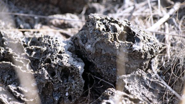 Почва на ядерном полигоне, архивное фото - Sputnik Азербайджан