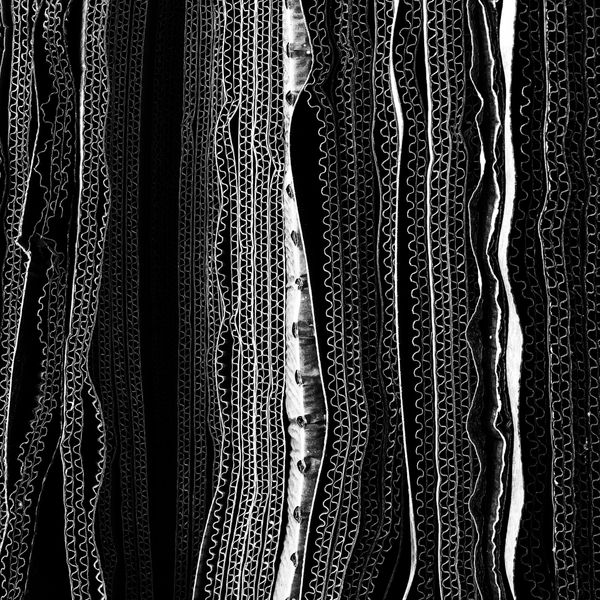 Работа фотографа Glenn Homann Corrugations, занявшая первое место в номинации Абстракция в фотоконкурсе 2018 iPhone Photography Awards - Sputnik Азербайджан