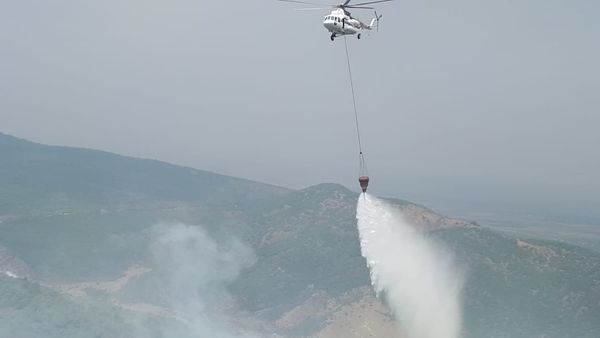 Quba və Şabran rayonlarının ərazisində meşə yanğınlarının söndürülməsi - Sputnik Азербайджан