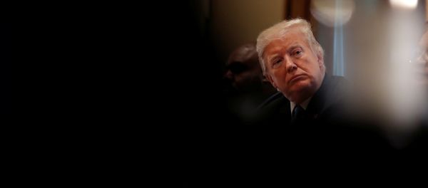 Президент США Дональд Трамп, фото из архива - Sputnik Азербайджан