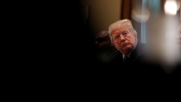Президент США Дональд Трамп, фото из архива - Sputnik Азербайджан