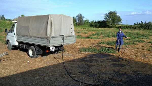 Дезинфекция места реализации скота - Sputnik Азербайджан