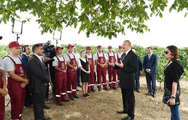 Президент Ильхам Алиев и Первая леди Мехрибан Алиева приняли участие в открытии комплекса виноградарства и виноделия в Шамахе - Sputnik Азербайджан