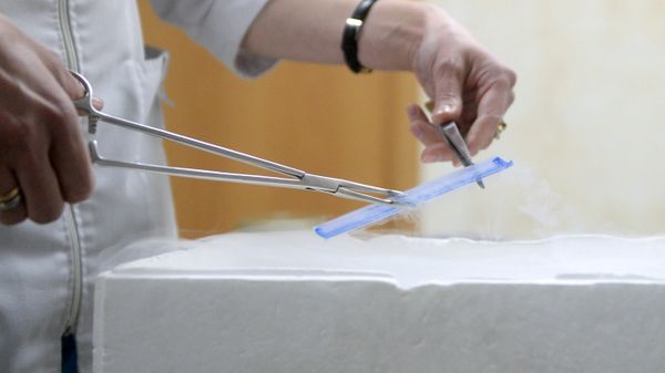Сотрудница центра достает пробу с репродуктивным материалом из криогенного хранилища в лаборатории в научном центре акушерства, гинекологии и перинатологии им. В.И. Кулакова в Москве - Sputnik Азербайджан