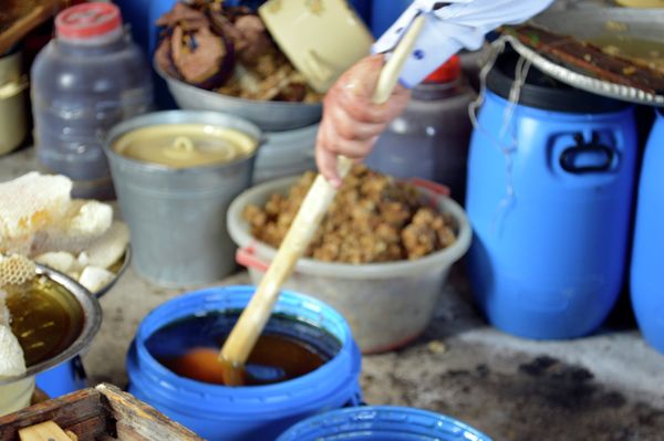 Пчеловоды Астары готовятся к очередной Республиканской ярмарке продуктов пчеловодства - Sputnik Азербайджан