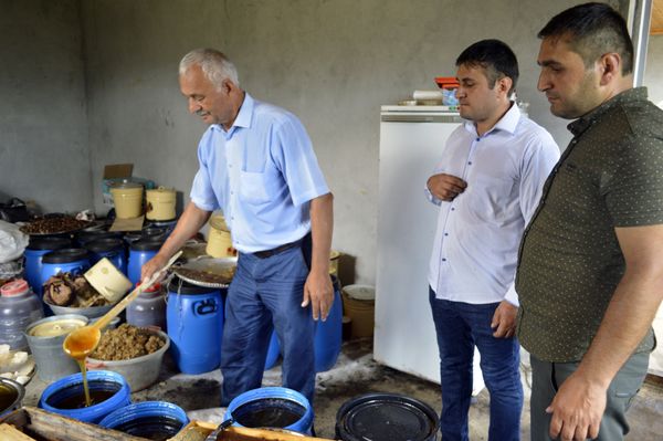 Пчеловоды Астары готовятся к очередной Республиканской ярмарке продуктов пчеловодств - Sputnik Азербайджан