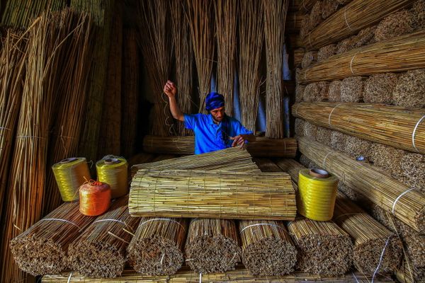 Снимок Bulrush турецкого фотографа Ümmü Kandilcioğlu, победившего в номинации Sustainability in Practice Prize фотоконкурса Environmental Photographer of the Year 2018 - Sputnik Азербайджан