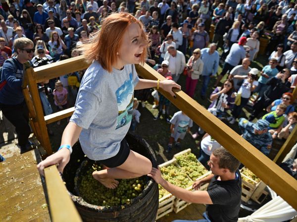 Участница конкурса «Винодавильня» на фестивале молодого вина «WineFest» в Балаклаве - Sputnik Азербайджан