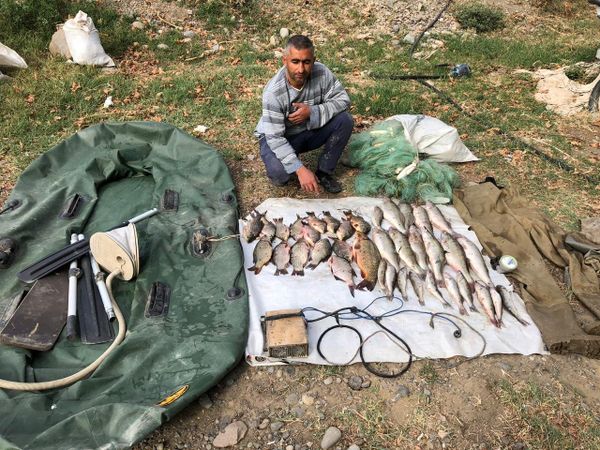 Сотрудники Главного управления полиции на водном транспорте задержали браконьеров, массово истребляющих рыбу электроразрядом, - Sputnik Азербайджан