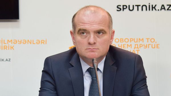 Доктор экономических наук, профессор UNEC Эльшад Мамедов - Sputnik Азербайджан