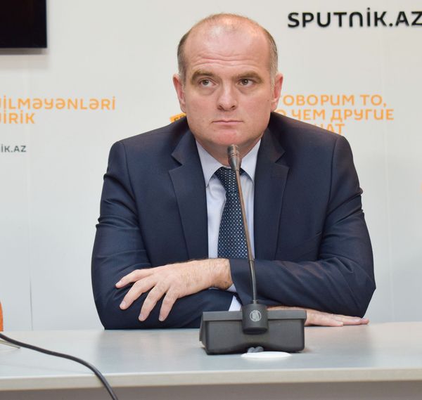 Доктор экономических наук, профессор UNEC Эльшад Мамедов - Sputnik Азербайджан