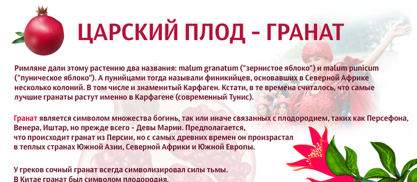 Царский плод — гранат - Sputnik Азербайджан