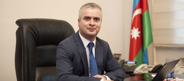 начальник Государственной службы по сельскохозяйственным проектам и управлению кредитами Мирза Алиев - Sputnik Азербайджан