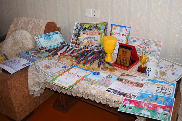 Diplom və medallar - Sputnik Азербайджан
