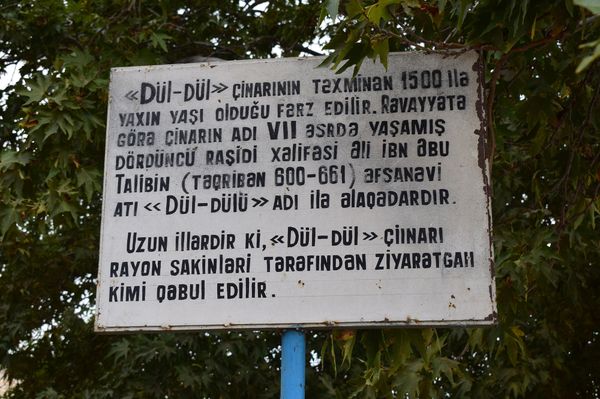 Həzrət Əli bu ərazilərdə olub, Düldül adlı atını çinarın kölgəsinə bağlayıb - Sputnik Азербайджан