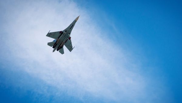 Многоцелевой истребитель Су-27 - Sputnik Азербайджан