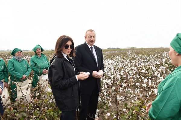 Президент Ильхам Алиев и Первая леди Мехрибан Алиева ознакомились с хлопковым полем в поселке Хиндарх Агджабединского района - Sputnik Азербайджан