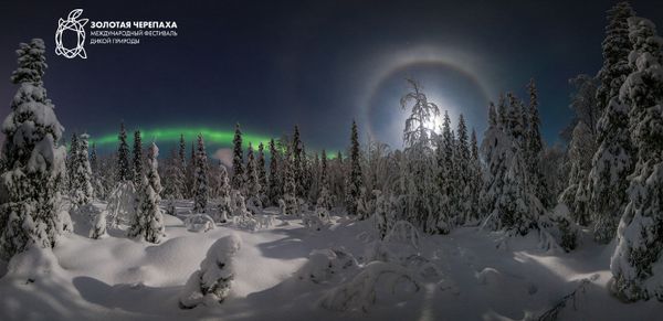 Снимок Лунное гало фотографа Истомина Виталия, занявший второе место в номинации Пейзаж фотоконкурса The Golden Turtle 2018 - Sputnik Азербайджан