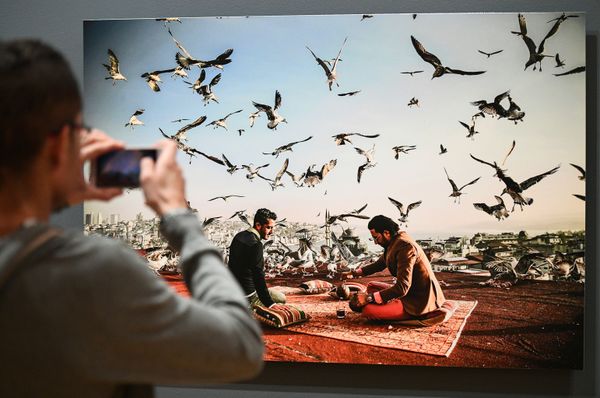Посетитель на открытии выставки победителей IV международного конкурса фотожурналистики имени Андрея Стенина в Москве - Sputnik Азербайджан