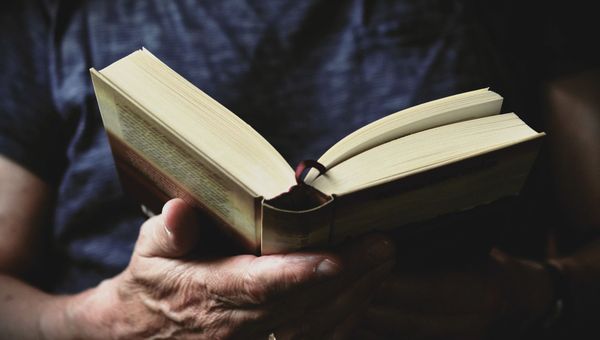 Женщина читает книгу, фото из архива - Sputnik Азербайджан