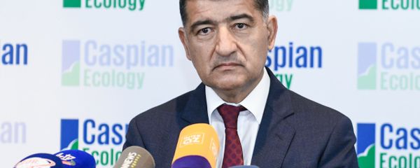 Заместитель министра экологии и природных ресурсов Фирдовси Алиев - Sputnik Азербайджан