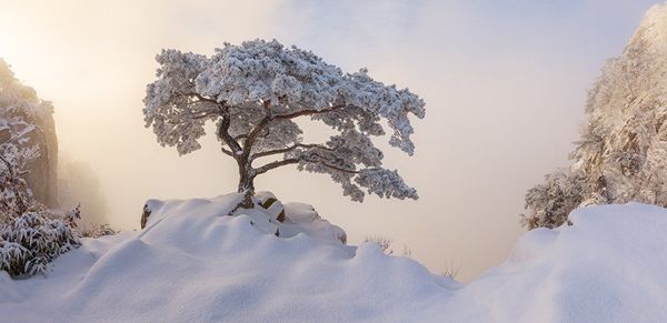 Работа участника конкурса EPSON Pano Awards 2018. Nathaniel Merz - Sputnik Азербайджан