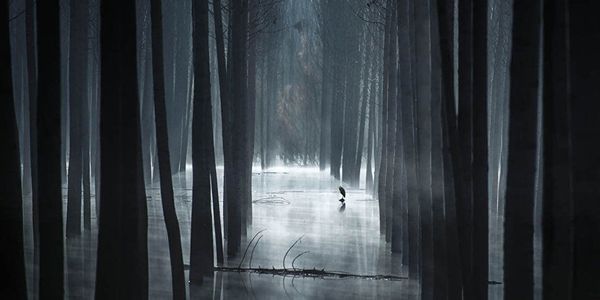 Работа участника конкурса EPSON Pano Awards 2018. Mariano Belmar Torrecilla - Sputnik Азербайджан
