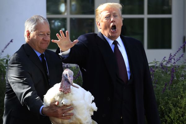 Президент США Дональд Трамп помиловал индейку в День благодарения в саду перед Белым домом - Sputnik Азербайджан