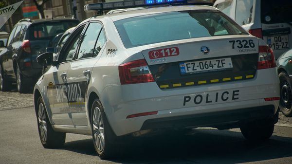 Gürcüstan polisi - Sputnik Азербайджан