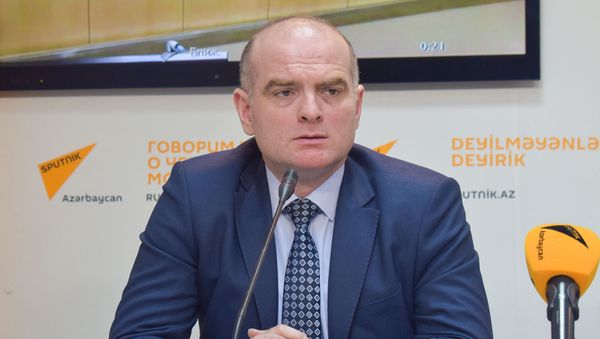 Доктор экономических наук, профессор Эльшад Мамедов - Sputnik Азербайджан