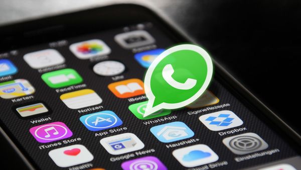 WhatsApp logo - Sputnik Азербайджан