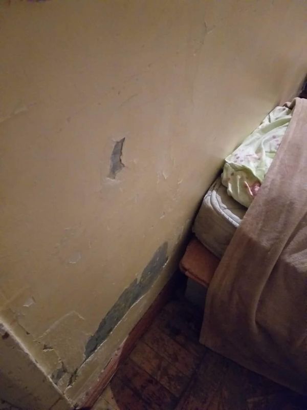 Трудное детство обитателей санатория в Бузовна: студенты засняли, главврач объяснил - Sputnik Азербайджан
