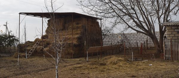 Фермерское хозяйство Алгусейн Алгусейнова Фермерское хозяйство Алгусейн Алгусейнова - Sputnik Азербайджан
