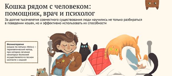 Кошка рядом с человеком: помощник, врач и психолог - Sputnik Азербайджан