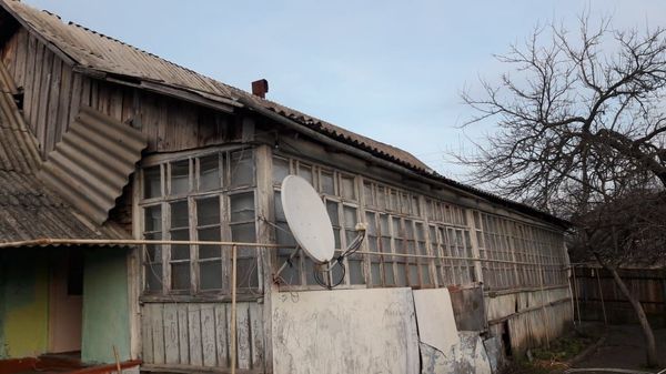 Найденный в подвале непонятный скелет удивил даже старожилов огузского села - Sputnik Азербайджан