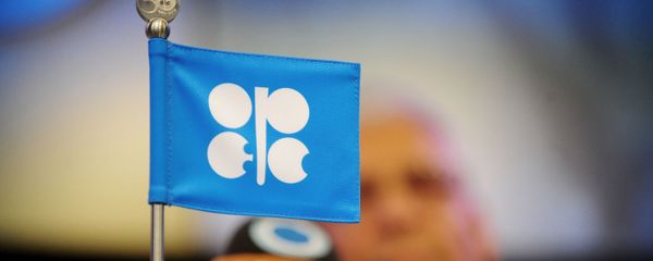 Логотип Организации стран-экспортеров нефти (ОПЕК) Логотип Организации стран-экспортеров нефти (ОПЕК) - Sputnik Азербайджан