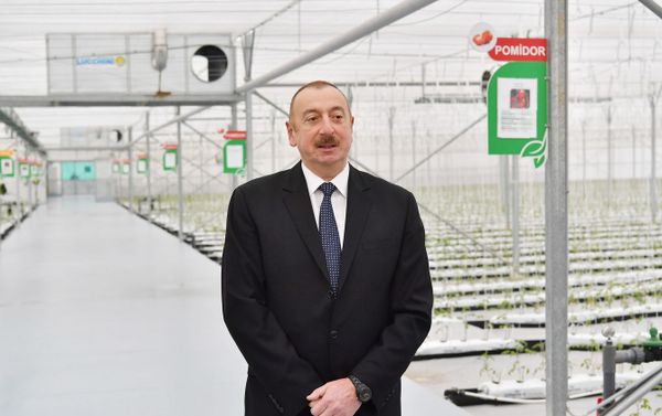 Президент Ильхам Алиев принял участие в открытии Научно-исследовательского института овощеводства - Sputnik Азербайджан