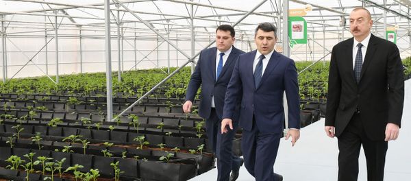 Президент Ильхам Алиев принял участие в открытии Научно-исследовательского института овощеводства - Sputnik Азербайджан