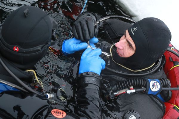 Рекордсмен мира по дайвингу Ахмед Габр  - Sputnik Азербайджан