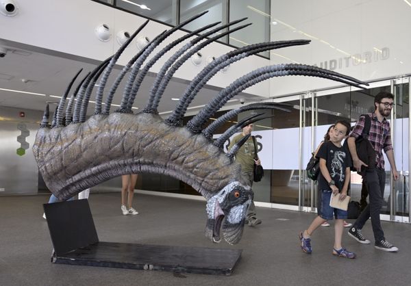 Новый вид динозавров с длинными шипами Bajadasaurus pronuspinax, найденный в Патагонии, во время презентации в Буэнос-Айресе - Sputnik Азербайджан