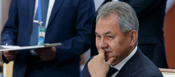 Министр обороны РФ Сергей Шойгу - Sputnik Азербайджан