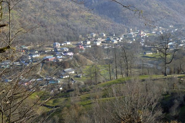 Кому на селе жить хорошо: решим проблемы и заживем, как в городе - Sputnik Азербайджан