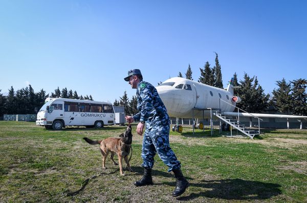 Собаки в Кинологическом Центре Государственного Таможенного Комитета Азербайджанской Республики - Sputnik Азербайджан