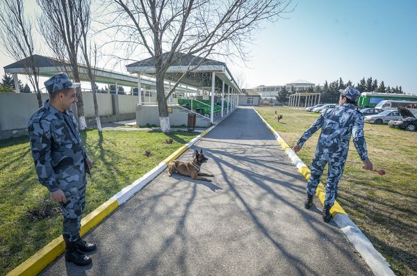 Собаки в Кинологическом Центре Государственного Таможенного Комитета Азербайджанской Республики - Sputnik Азербайджан