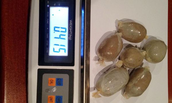 Не женское дело: у жительницы Астары нашли несколько килограммов наркотиков - Sputnik Азербайджан