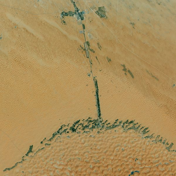 Оазис Liwa в ОАЭ - Sputnik Азербайджан