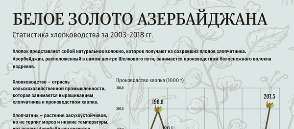 Хлопок инфографика - Sputnik Азербайджан